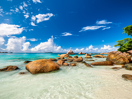 怎么申請bvi公司